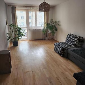Standaard Suite